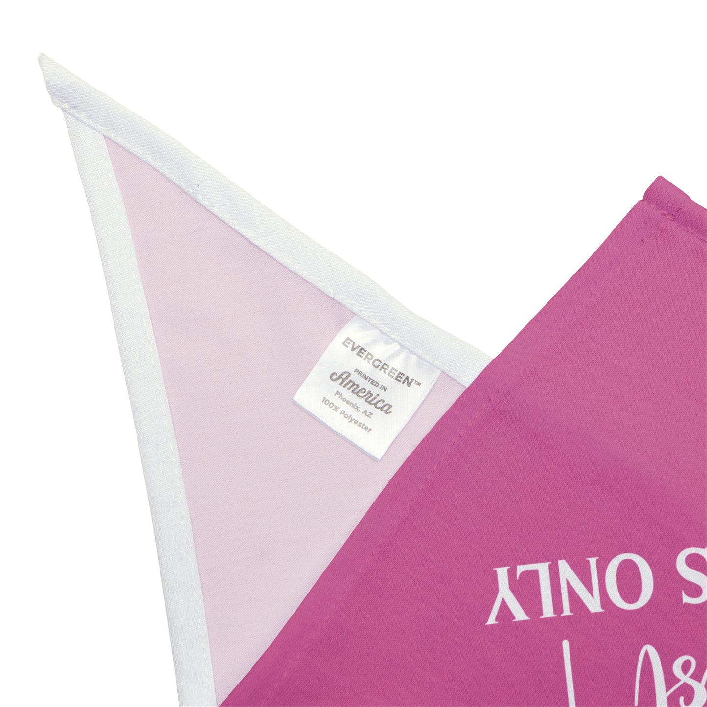 Snout-Scouter Dog Bandana – Only the Best Homes Pass the Sniff Test