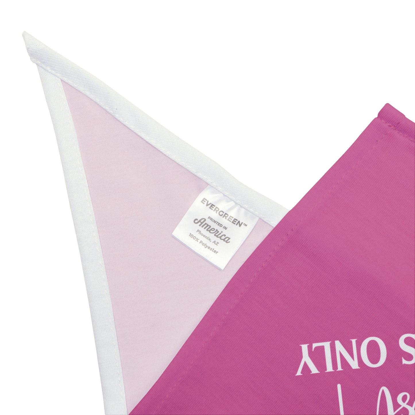 Snout-Scouter Dog Bandana – Only the Best Homes Pass the Sniff Test