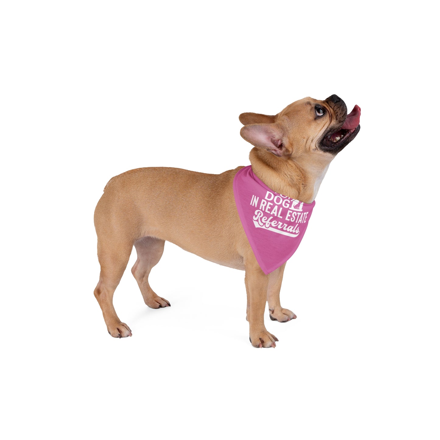 Top Dog in Real Estate Referrals – Funny Realtor Dog Bandana