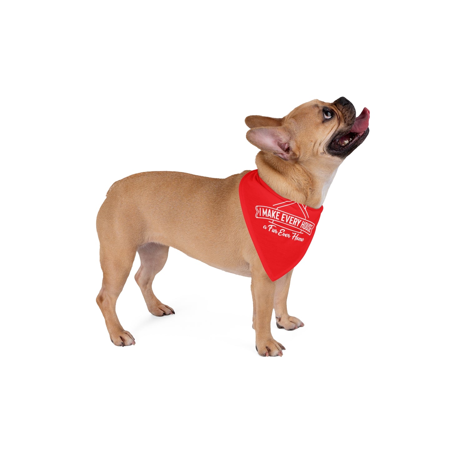 Fur-Ever Home Dog Bandana – Your Pup Closes with Cuteness