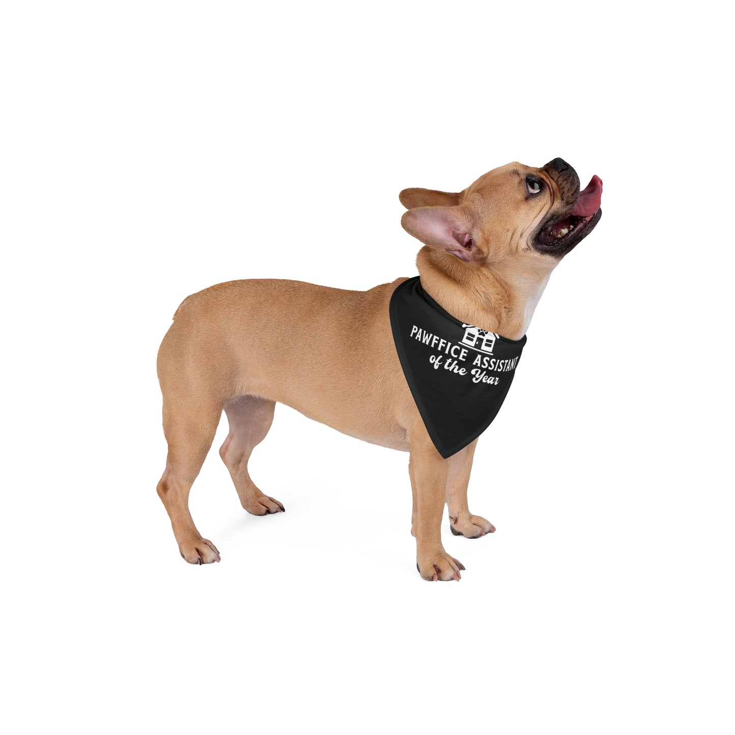 “Pawffice Assistant of the Year” Dog Bandana – Real Estate’s Furriest MVP
