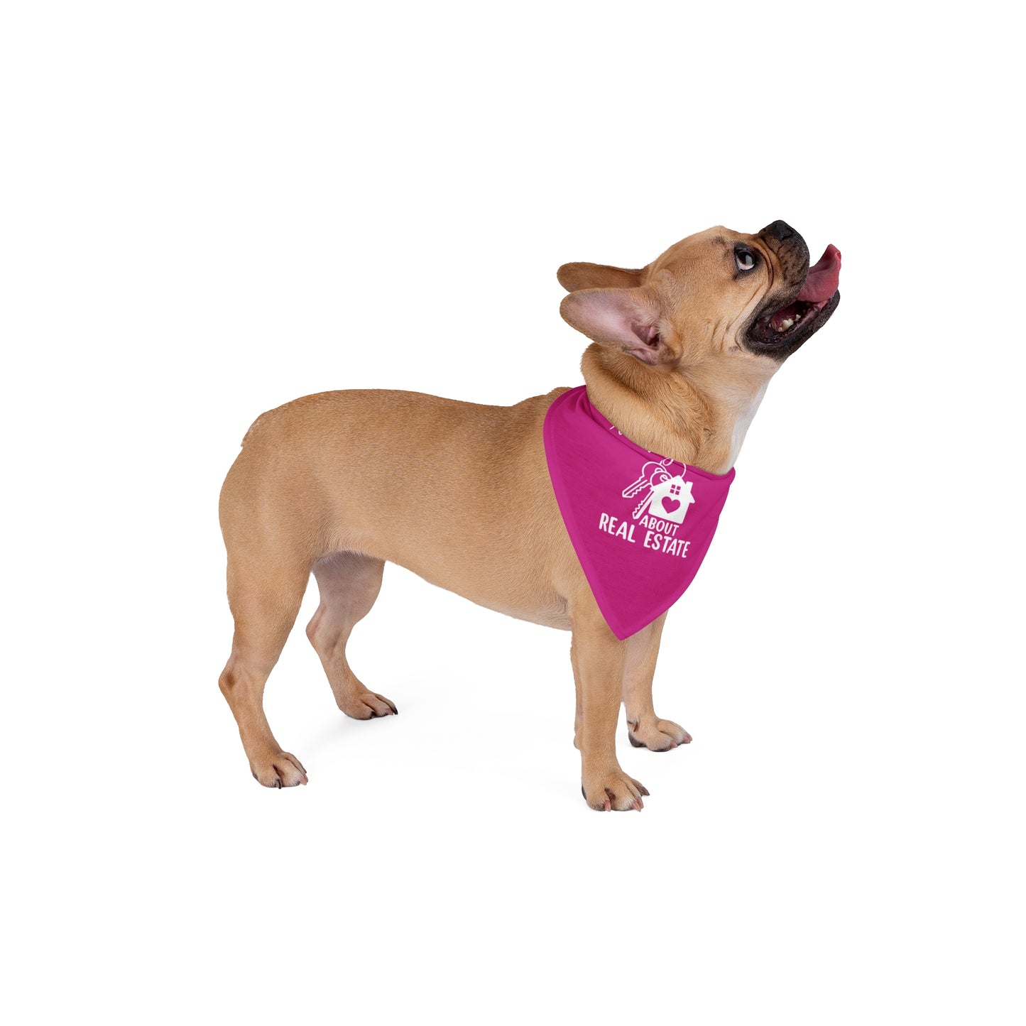 Realtor Dog Bandana – Ask My Human, They Sell Houses & Throw Treats