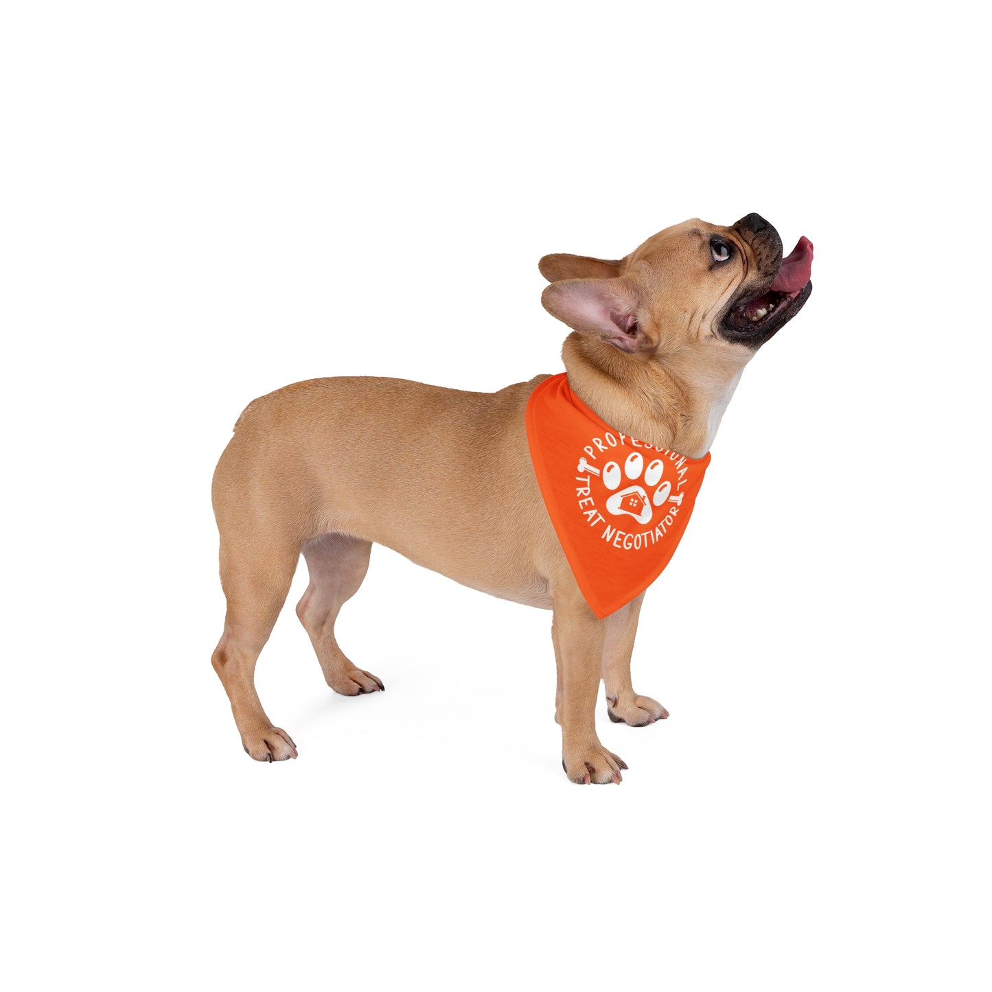 Realtor Dog Bandana – Professional Treat Negotiator (Will Close for Cookies)
