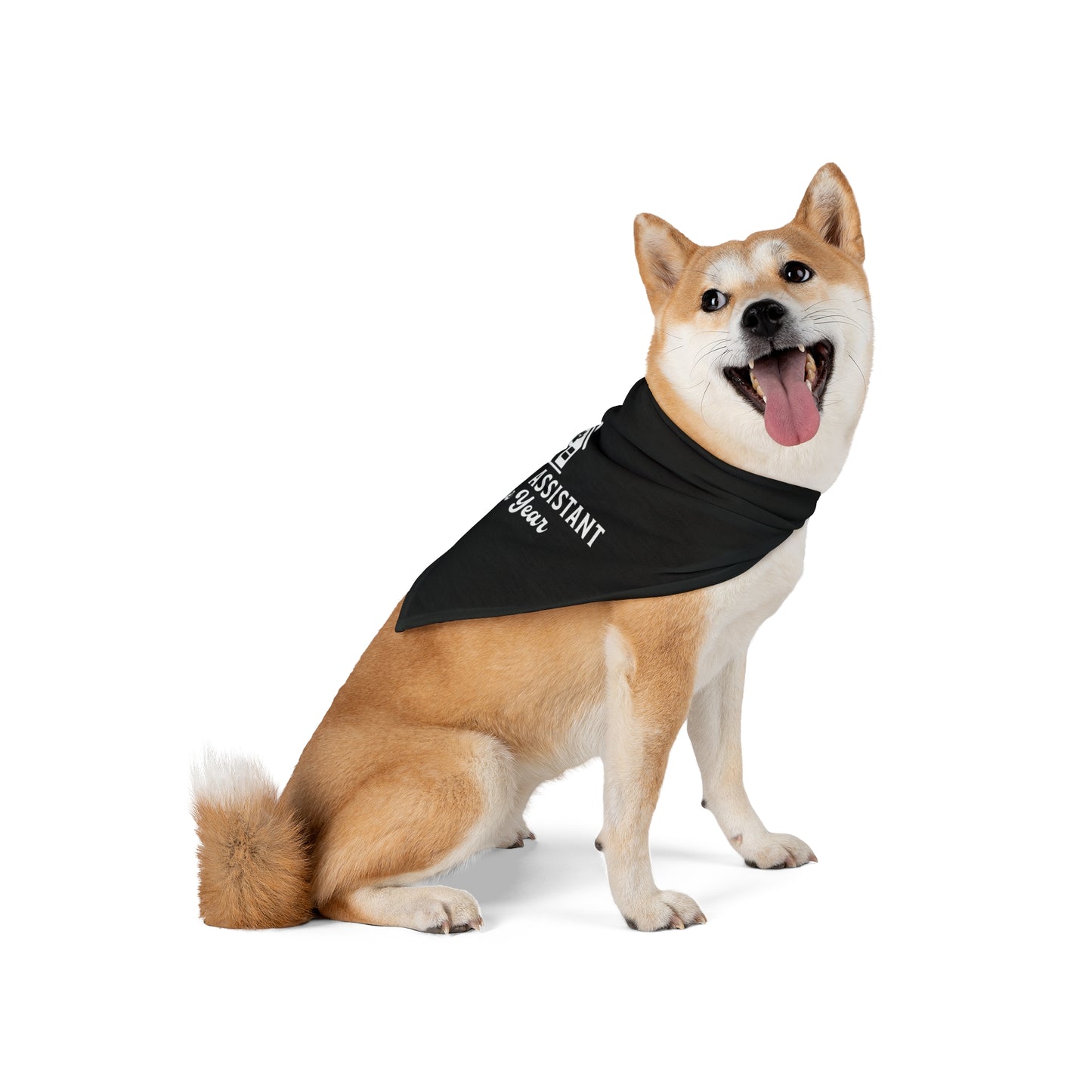 “Pawffice Assistant of the Year” Dog Bandana – Real Estate’s Furriest MVP