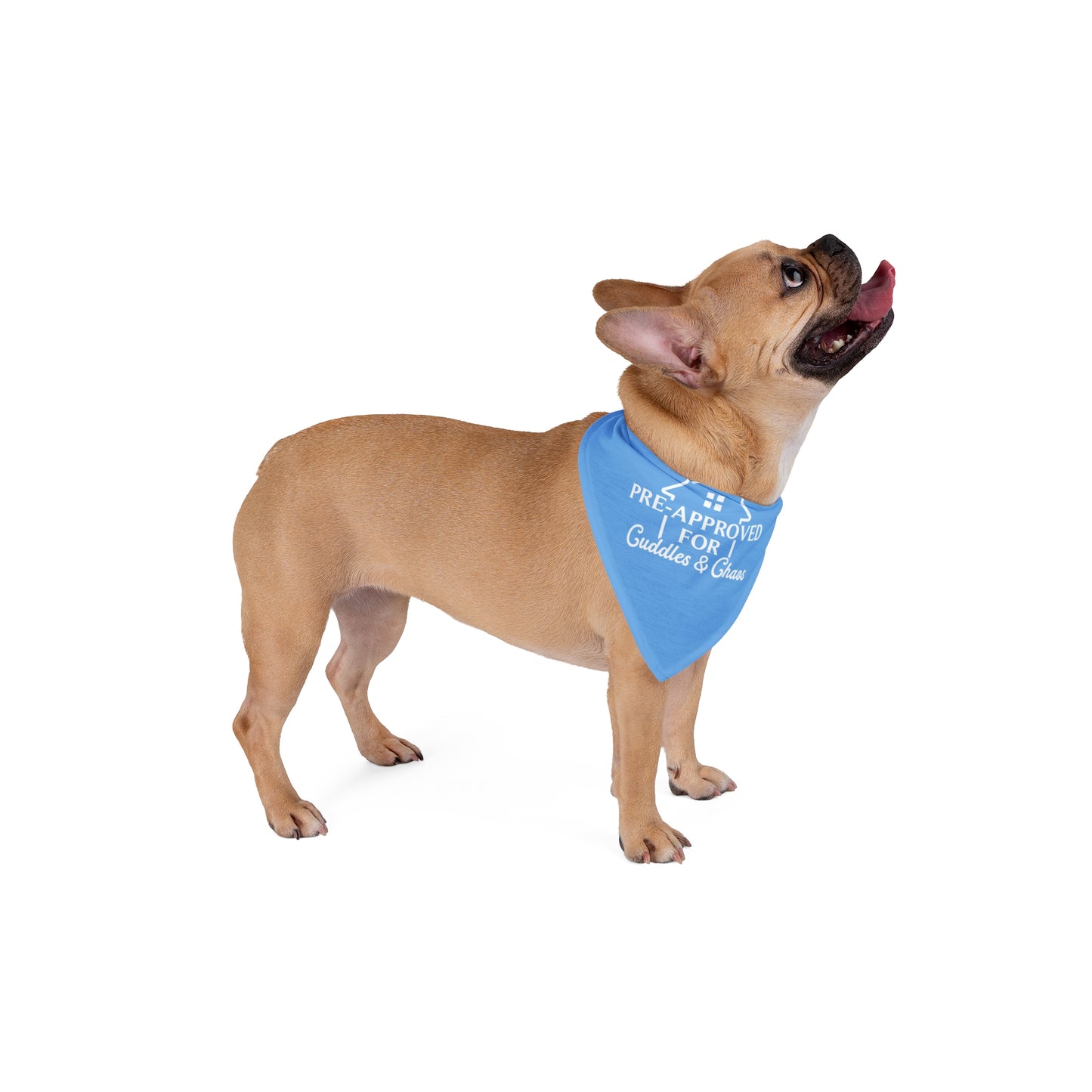 Funny Realtor Dog Bandana – Pre-Approved for Cuddles & Chaos