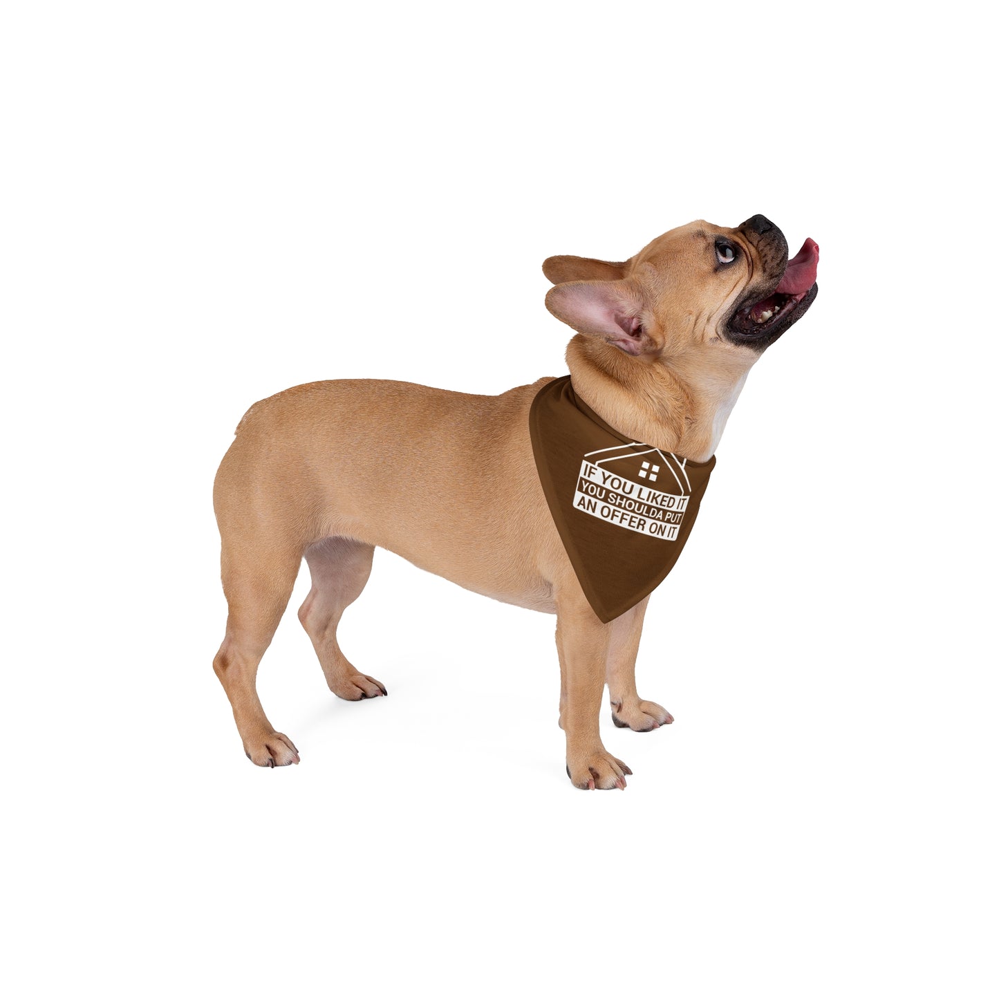 Funny Realtor Dog Bandana – Shoulda Put an Offer on It