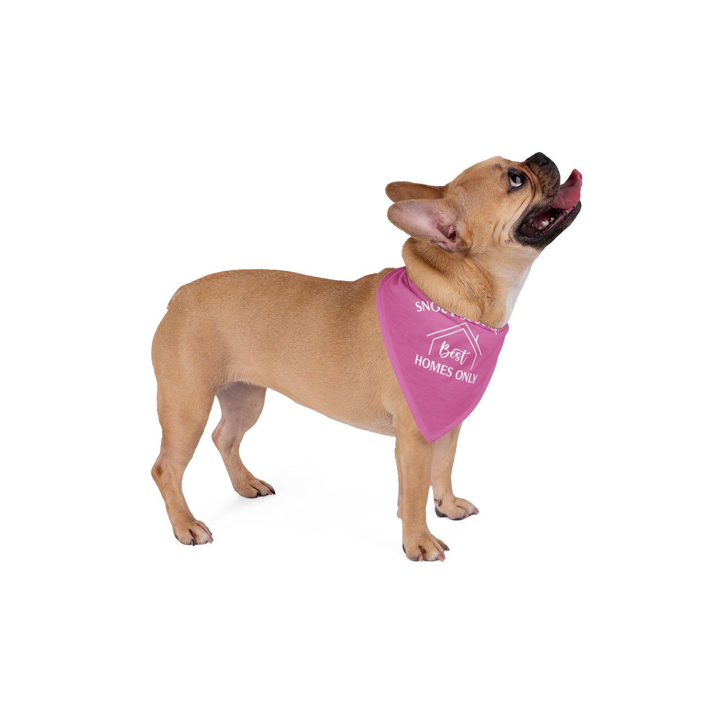 Snout-Scouter Dog Bandana – Only the Best Homes Pass the Sniff Test