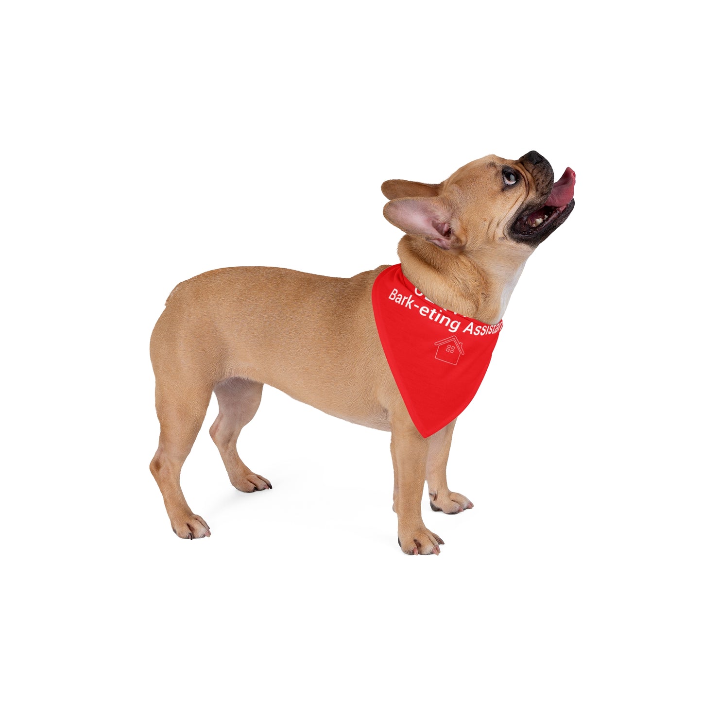 Certified Bark-eting Assistant – Funny Realtor Dog Bandana