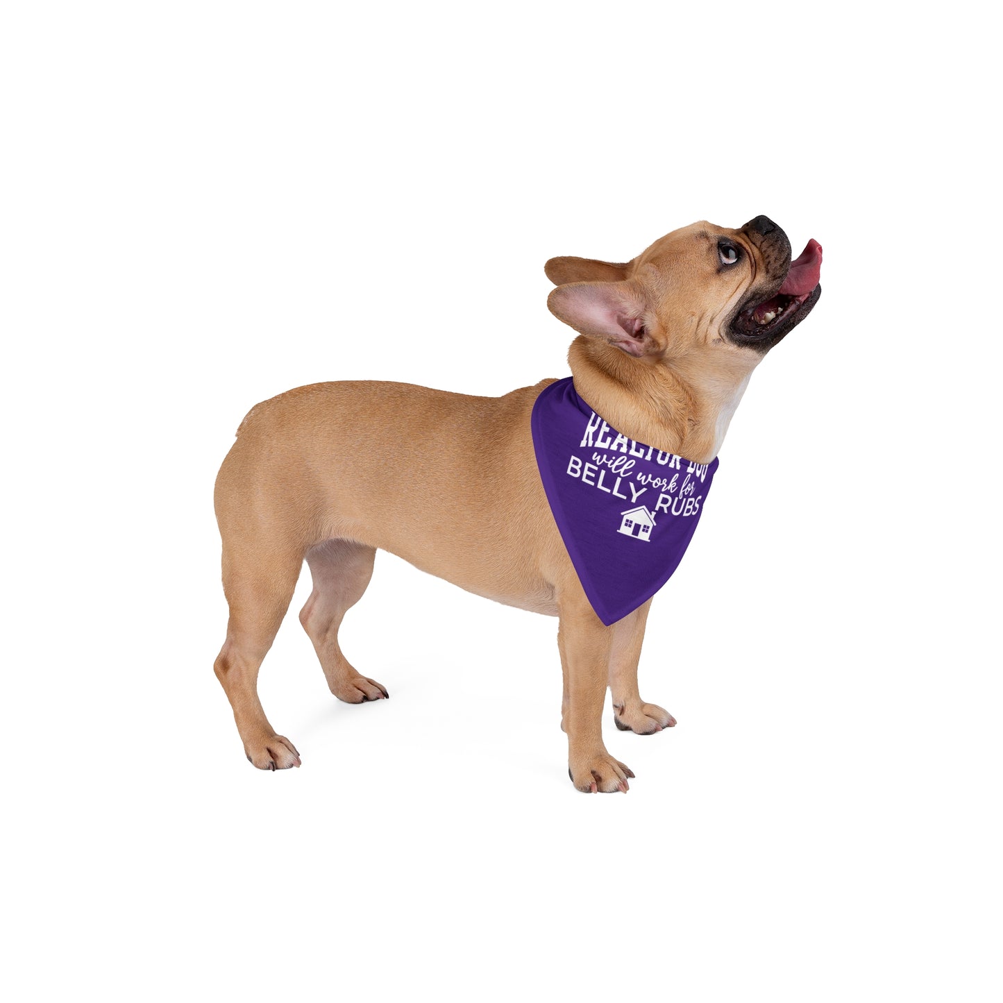 Realtor Dog Bandana – Will Work for Belly Rubs (and Maybe Treats)