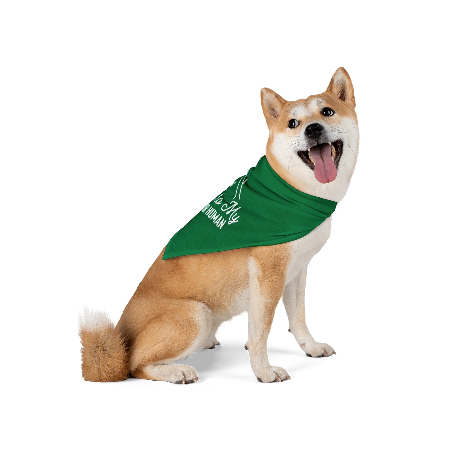 Loyal to My Realtor Human Dog Bandana – For the Furriest Closing Assistant