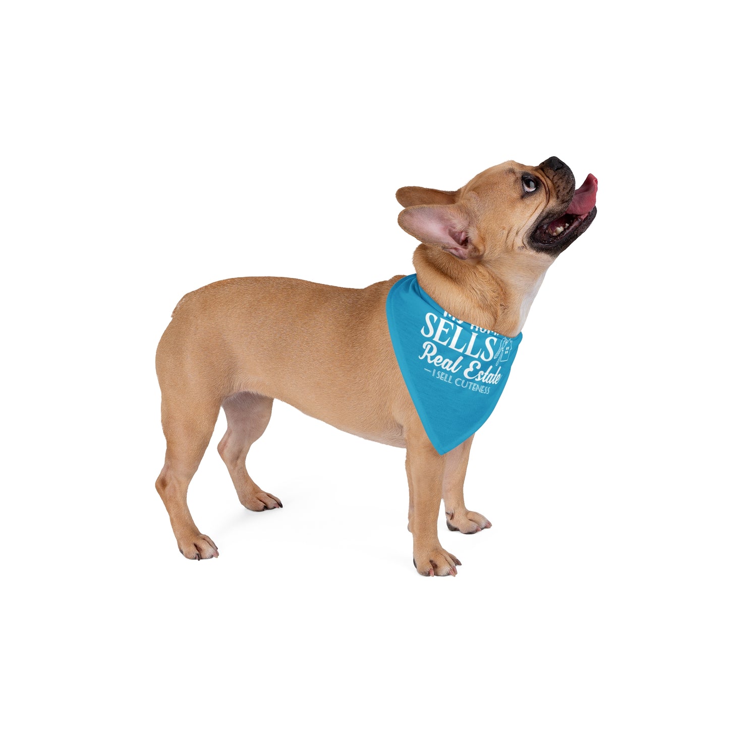 "My Human Sells Real Estate – I Sell Cuteness" Dog Bandana (Because Let’s Be Real, I Close the Deal)