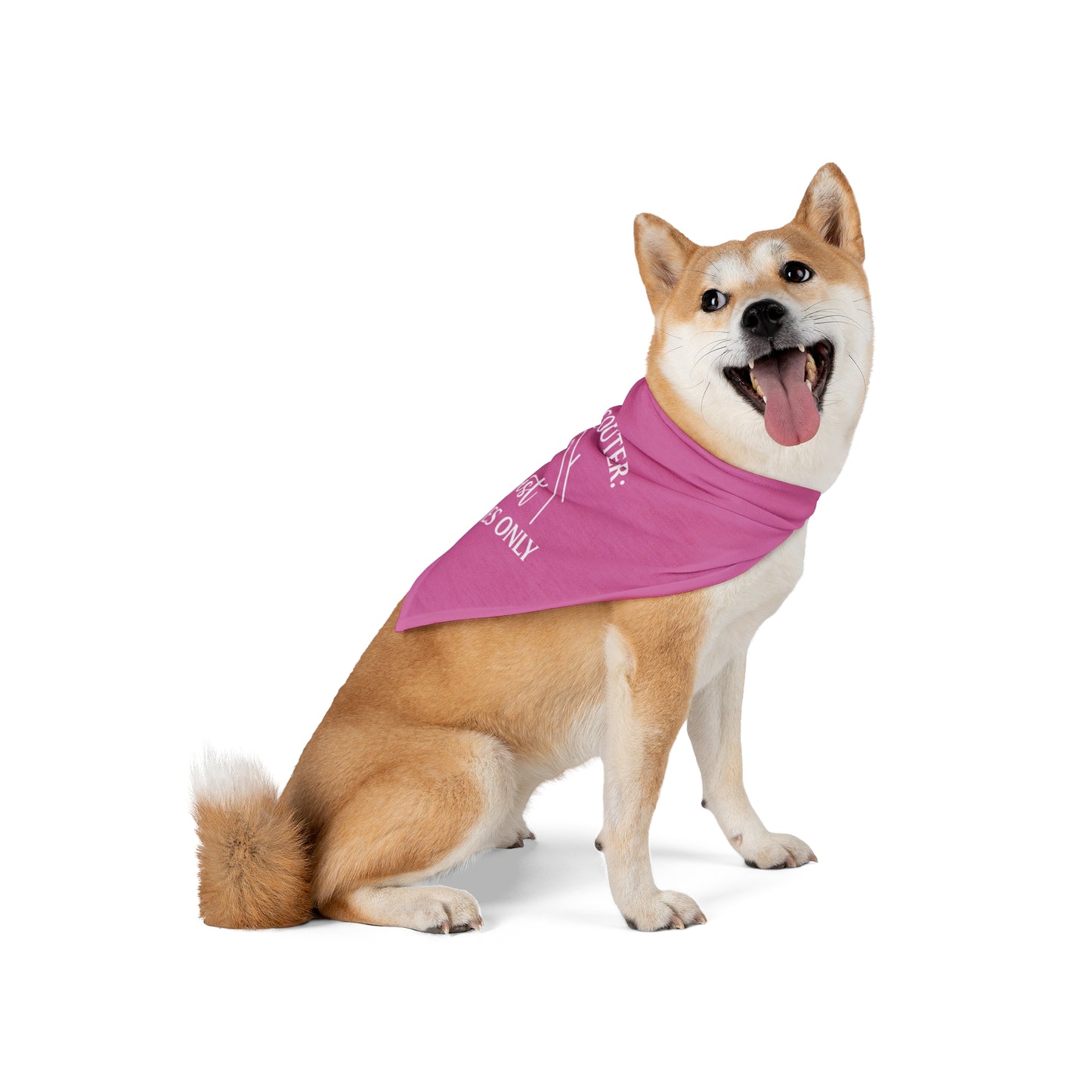 Snout-Scouter Dog Bandana – Only the Best Homes Pass the Sniff Test