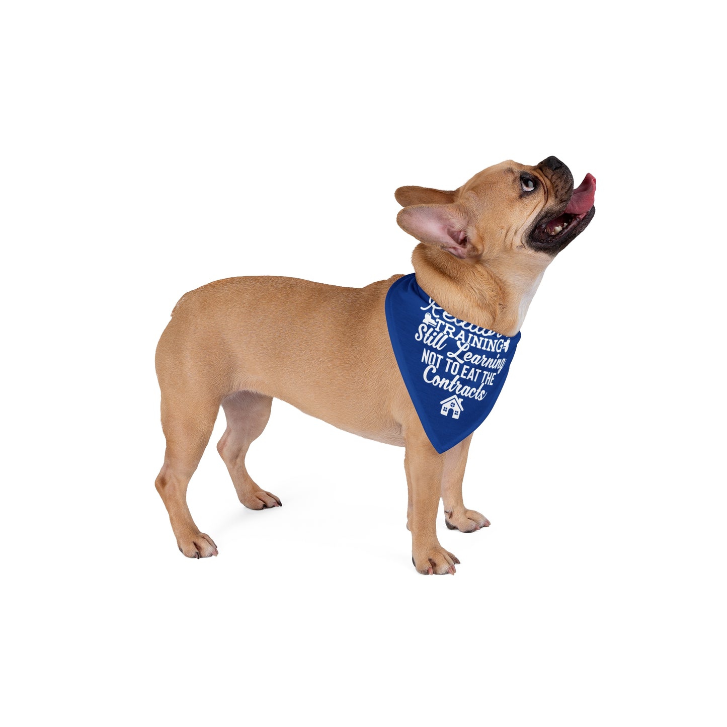 Copy of Realtor Dog Bandana – I’m Not Barking, I’m Negotiating (I Have Clients to Impress)