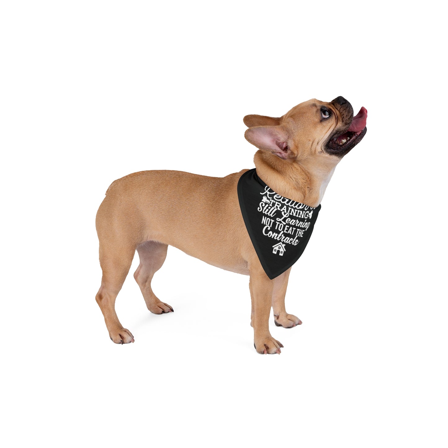 Funny Realtor Dog Bandana – Still Learning Not to Eat the Contracts