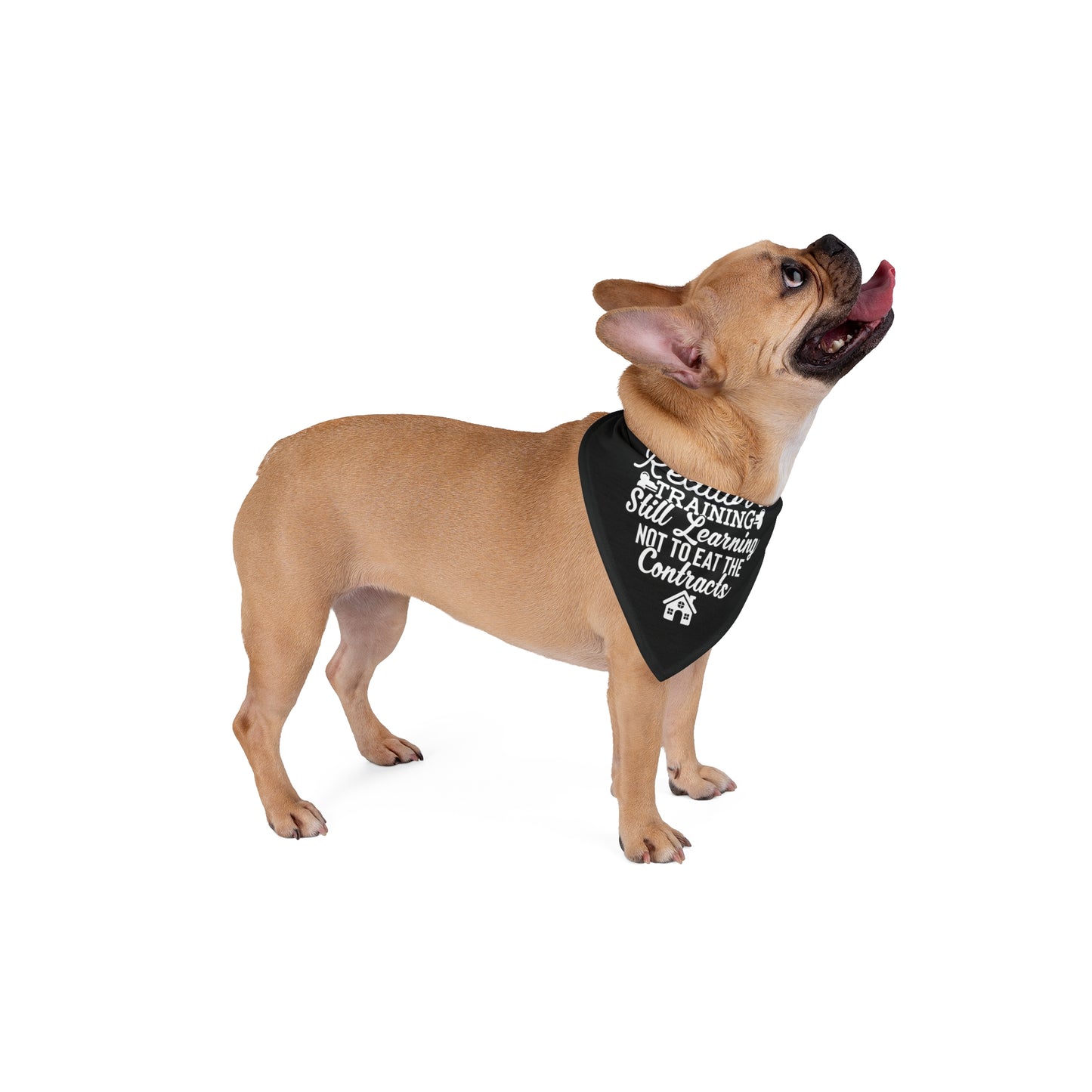 Funny Realtor Dog Bandana – Still Learning Not to Eat the Contracts